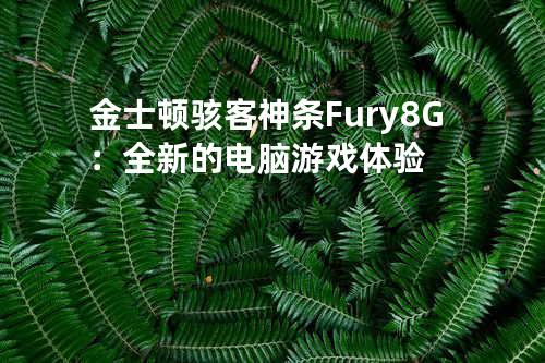 金士顿骇客神条Fury 8G：全新的电脑游戏体验