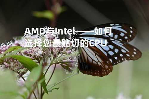 AMD与Intel——如何选择您最贴切的CPU