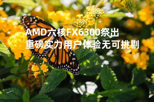 AMD六核FX6300祭出重磅实力 用户体验无可挑剔