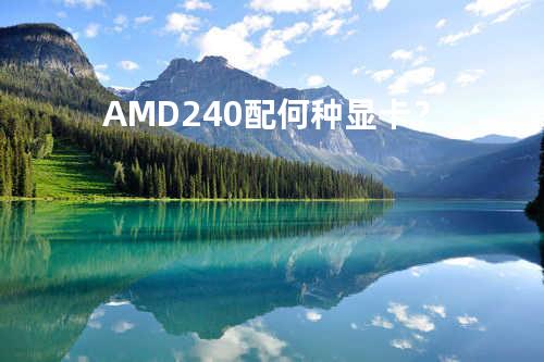 AMD 240配何种显卡？
