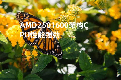 AMD 250 1600架构CPU性能强劲
