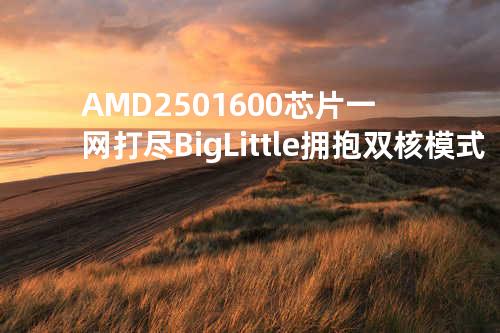 AMD 250 1600芯片一网打尽Big.Little拥抱双核模式