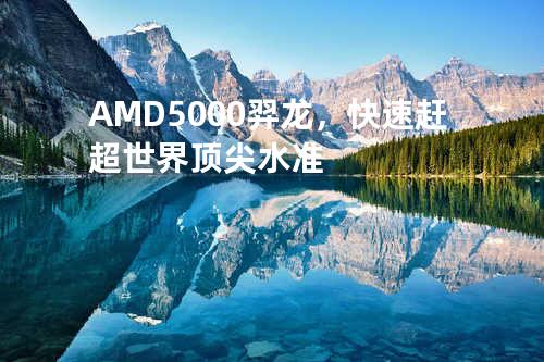 AMD5000羿龙，快速赶超世界顶尖水准