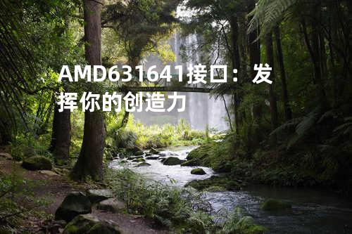 AMD 631 641 接口：发挥你的创造力