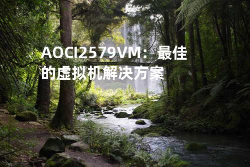 AOCI 2579VM：最佳的虚拟机解决方案