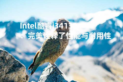 Intel 酷睿i3 4130：完美诠释了性能与耐用性